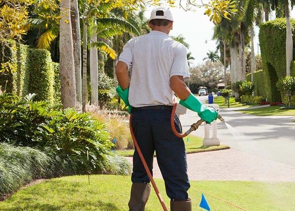 About Lebanon OR Pest Control Pros